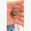 Ürün Görseli